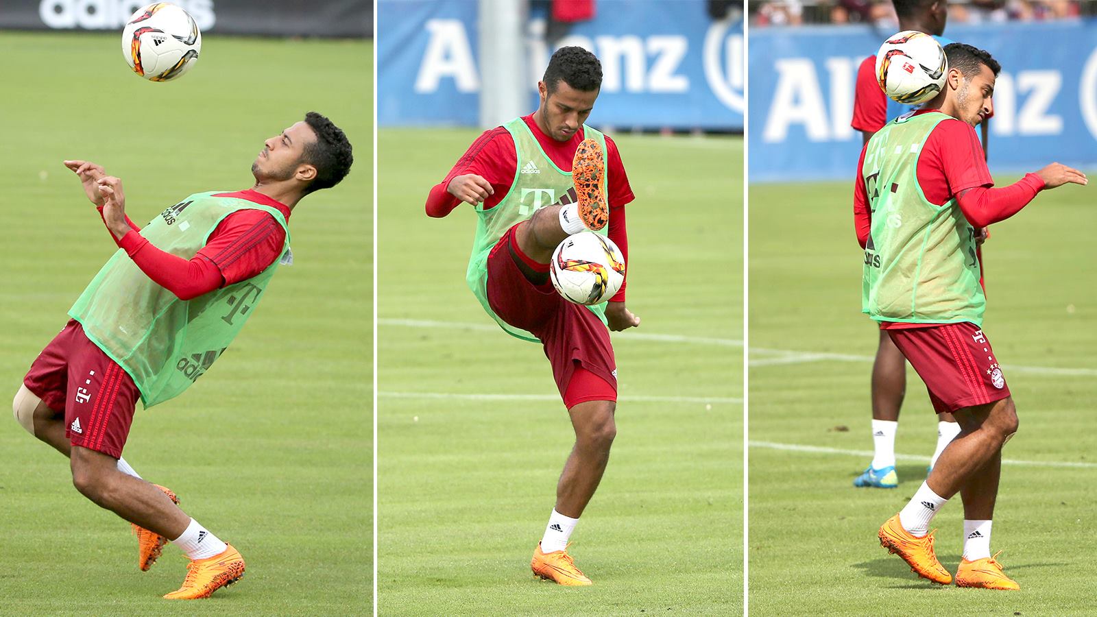 Dynamic 2025 fit collar